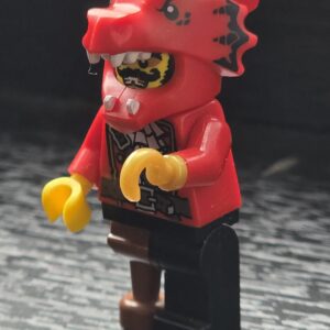 Pirata Dragón